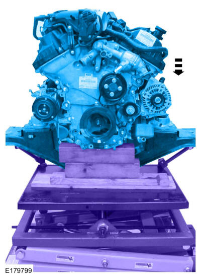 GFD309305