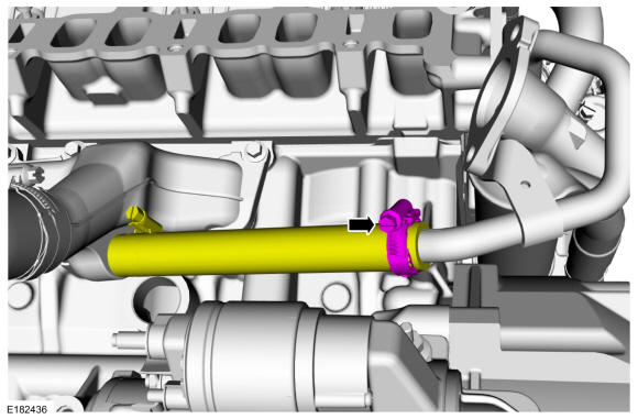 GFD310125