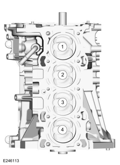 GFD325432
