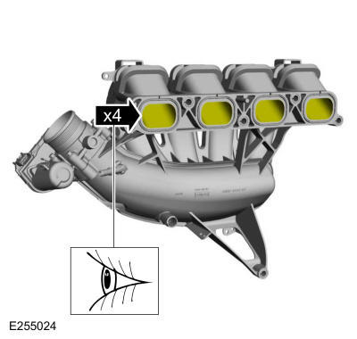 GFD325560