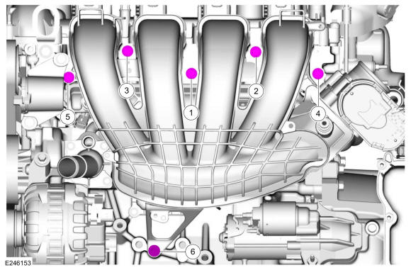 GFD325561