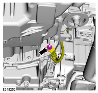 GFD325569