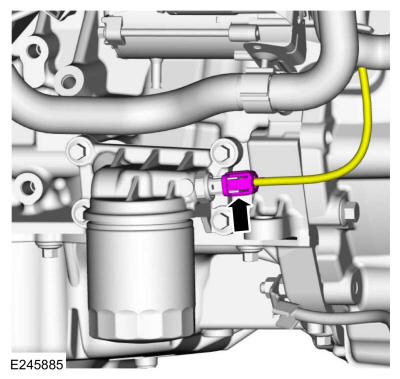 GFD325586
