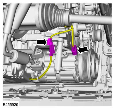 GFD325588