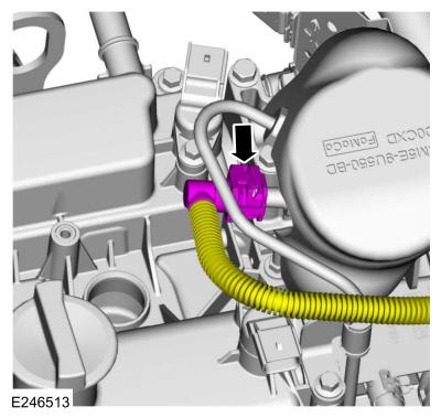 GFD325623