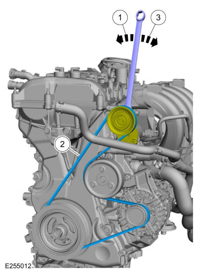 GFD325710