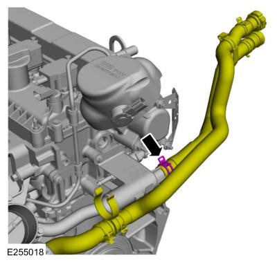 GFD325717