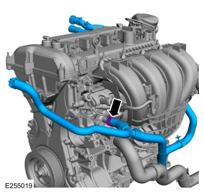 GFD325718