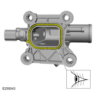 GFD325745