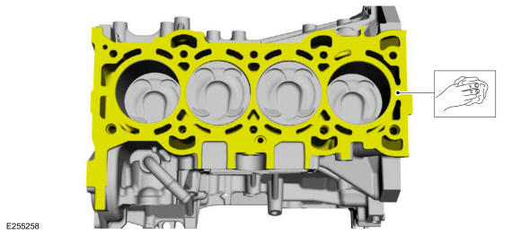 GFD325784