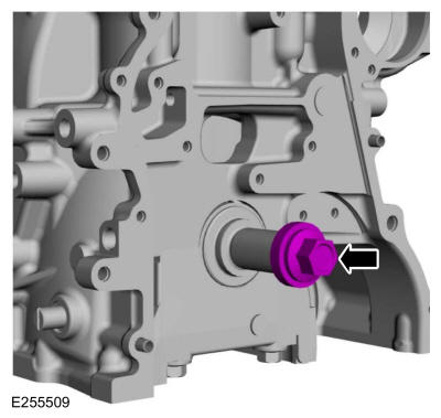 GFD325884