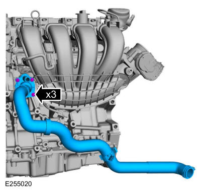 GFD325971