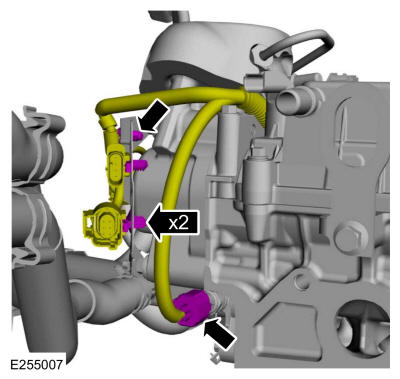 GFD325985