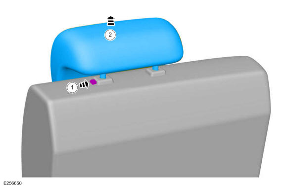 GFD328979