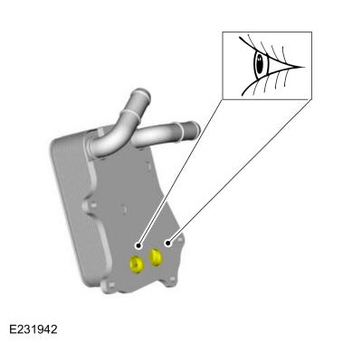 GFD376905