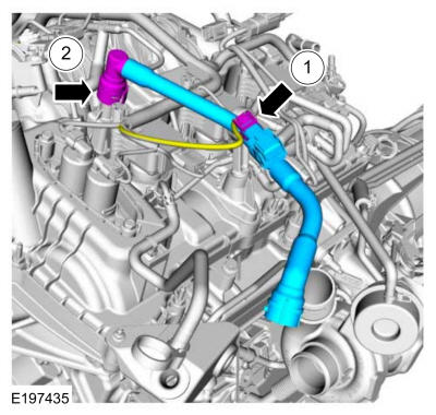 GFD39183