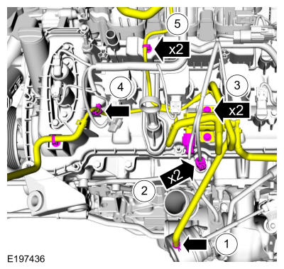 GFD39259
