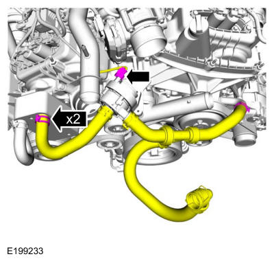 GFD39340