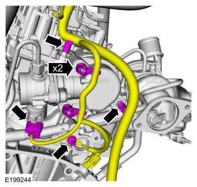 GFD39352