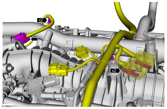 GFD39355