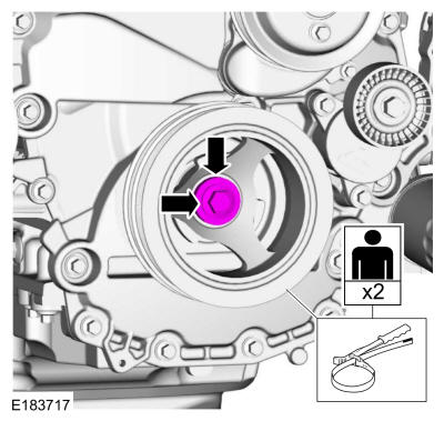 GFD39586