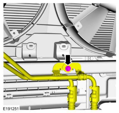 GFD39718