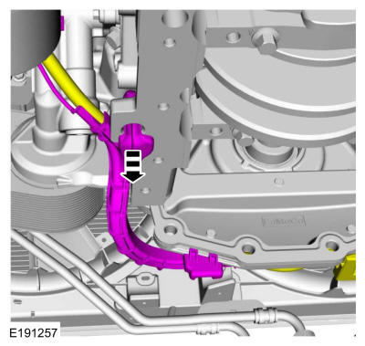 GFD39728