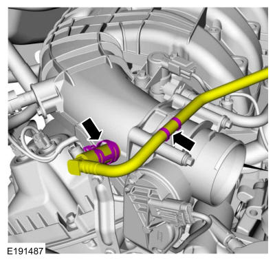 GFD39773