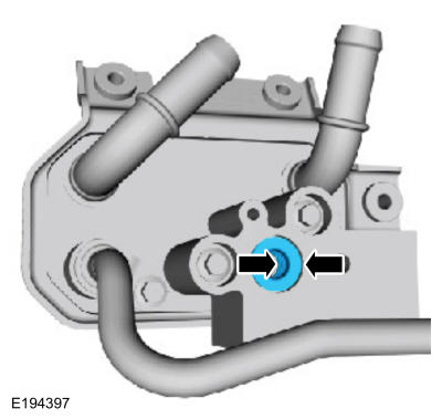 GFD41806