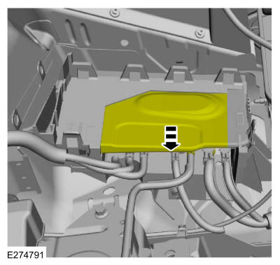 GFD426571
