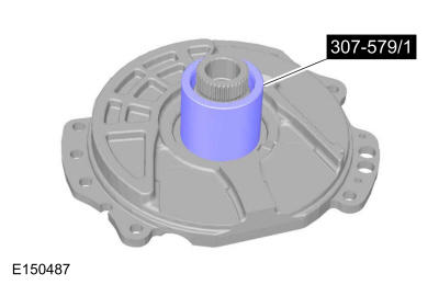 GFD428617