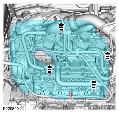 GFD479504