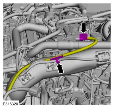GFD479655