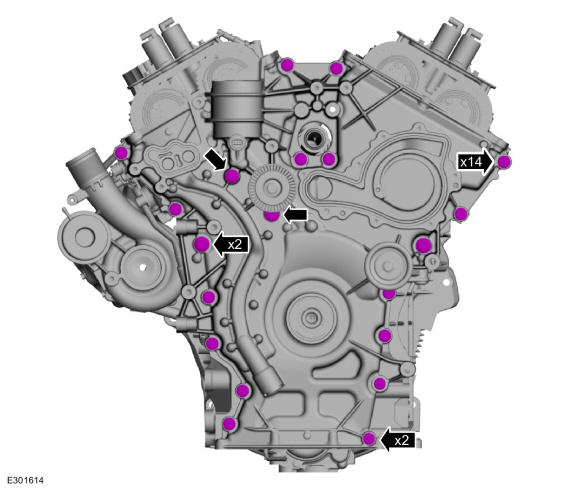 GFD511202