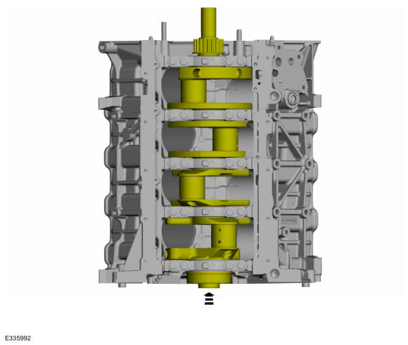 GFD555808