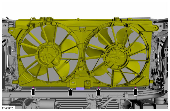 GFD556868
