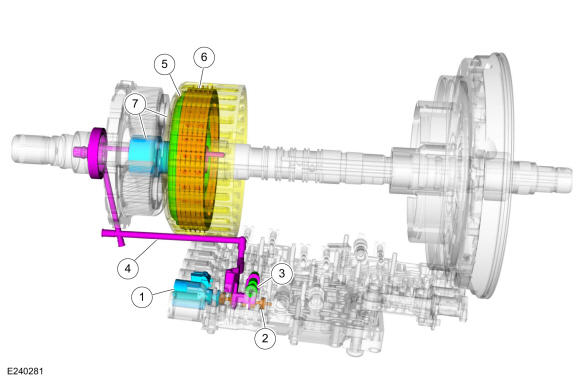 GFD558491