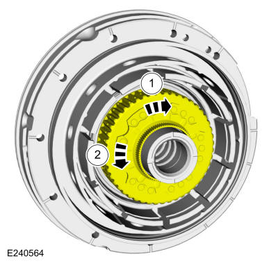GFD558561