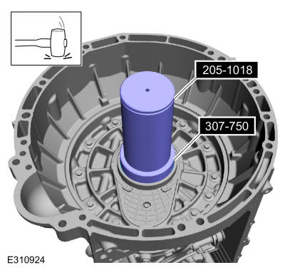 GFD558775