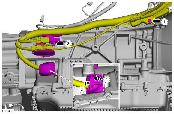 GFD558895