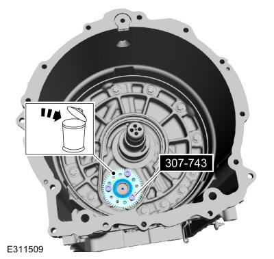 GFD559681