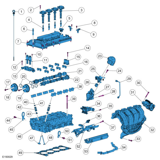 GFD61147