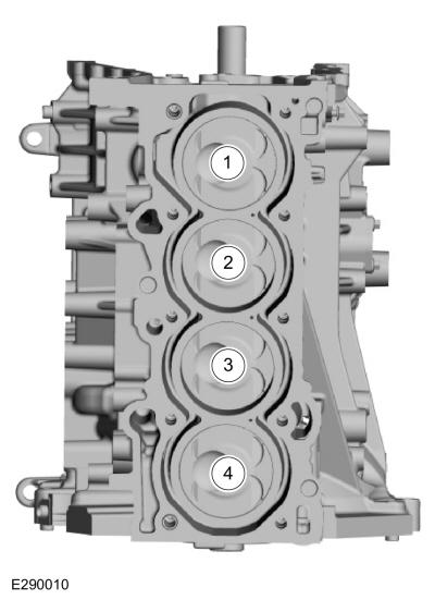 GFD623935