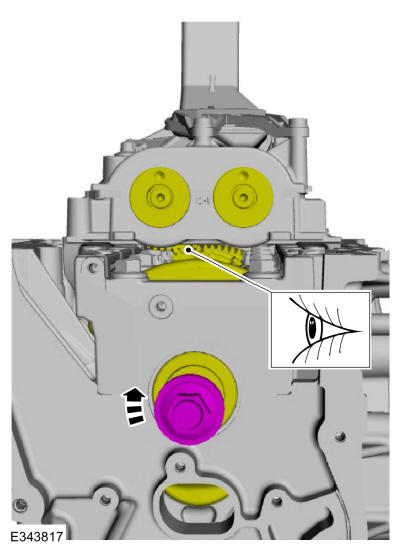 GFD623955