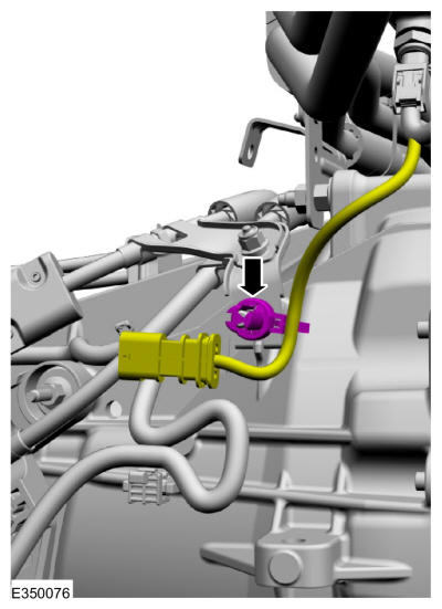 GFD624293