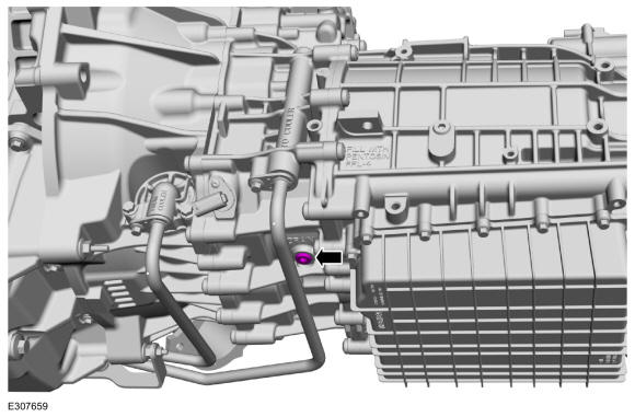 GFD718919