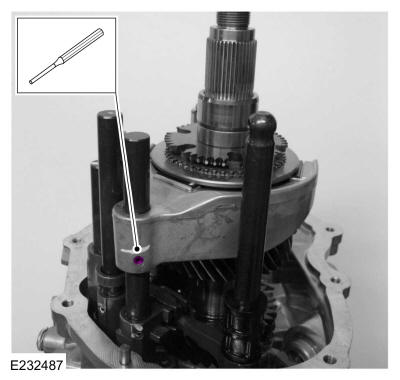 GFD719537