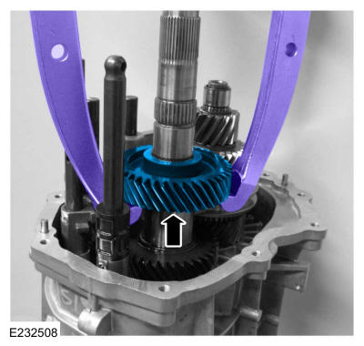GFD719541