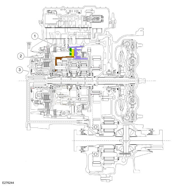 GFD829029