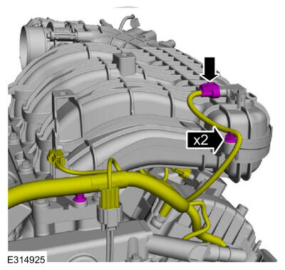 GFD838619